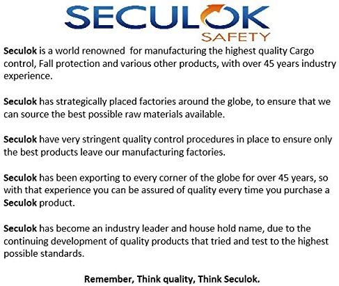 SECULOCK 2''x12' Logistic Cam Buckle Straps, E-Track Straps