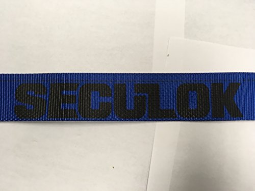 SECULOCK 2''x20' Logistic Cam Buckle Straps, E-Track Straps